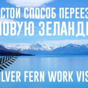 Доступный способ иммиграции в Новую Зеландию, Silver Fern Work Visa