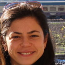 Аватар (Elena Koltun)